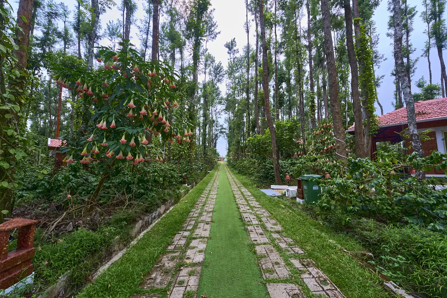 Coffee Grove Resort